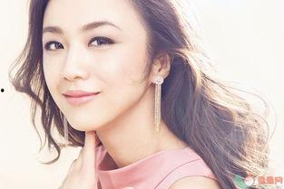 女明星的格局,揭秘女明星的非凡格局与魅力风采