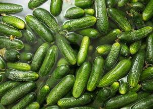 吃护瓜会中毒吗,揭秘真相与预防措施”