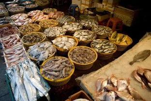 洛阳头条海鲜市场,探寻中原水产品的新鲜之源