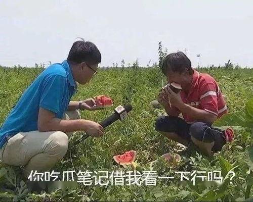 梦梦吃羊山瓜,探寻美食记忆之旅