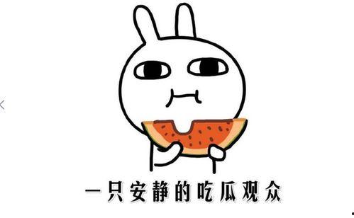 抖音吃瓜小黄脸,揭秘网络红人的魅力与争议