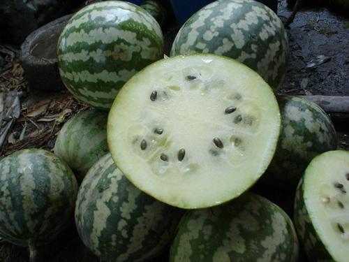 绿宝干瓜咋吃的,轻松解锁美味新体验