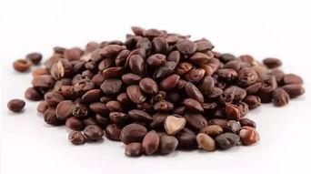 如何辨别网红真假蜂蜜枣,揭秘网红蜂蜜枣真假辨别技巧