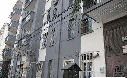 佳溪北新村新闻头条,焕新升级，共筑美好家园新篇章