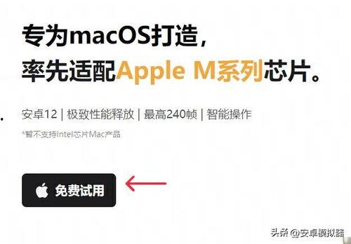 头条为什么老是闪频,频繁闪动背后的技术原理与解决方法