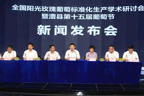 常德澧县官安新闻头条,聚焦民生工程，共筑和谐家园