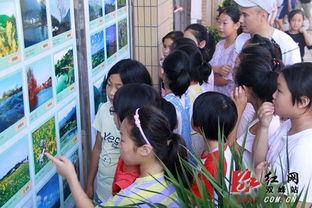 红网印塘乡,红网映照下的乡村振兴新篇章