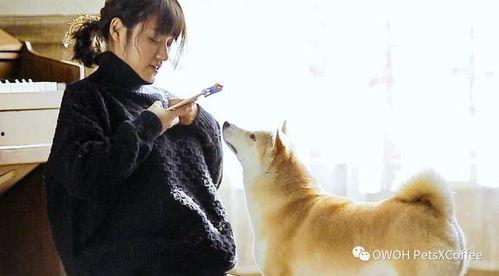 网红男与宠物照片大全,一场视觉盛宴