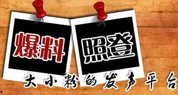 垫江新闻大爆料,聚焦热点事件，揭秘幕后真相