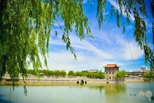 金乡奎星湖吃瓜,夏日吃瓜好去处，尽享清凉时光