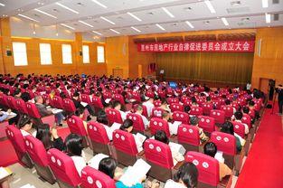 头条自律委员是什么,守护网络环境的守护者