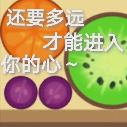 熬夜吃爽瓜,爽瓜美食，唤醒你的夜生活