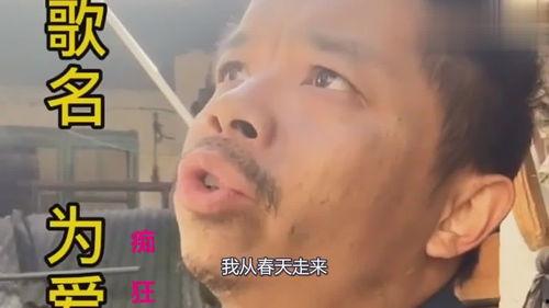 网红蜂农阿亮,网红蜂农的甜蜜事业与生态守护之旅