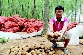 上头条打农药的人,从田间地头到网络头条的蜕变之旅