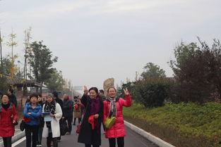 澧县梦溪村新闻头条,乡村振兴新篇章，梦溪村焕发新活力