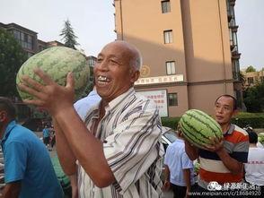 吃瓜杀人现场,一场吃瓜引发的命案之谜