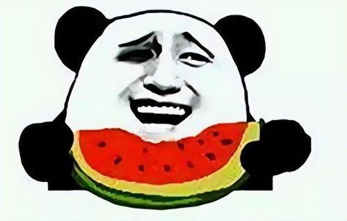 奇葩的吃瓜群众