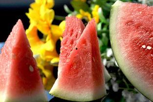 月经期间小白瓜可以吃吗,月经期间小白瓜适宜食用指南