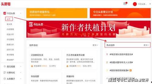 头条能写国际热点吗,头条聚焦的国际热点事件盘点