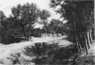 三十里屯苗明星,闪耀乡村的璀璨明珠