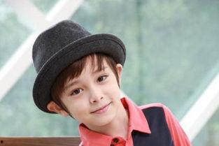 带有涛的明星,揭秘涛字明星的璀璨人生