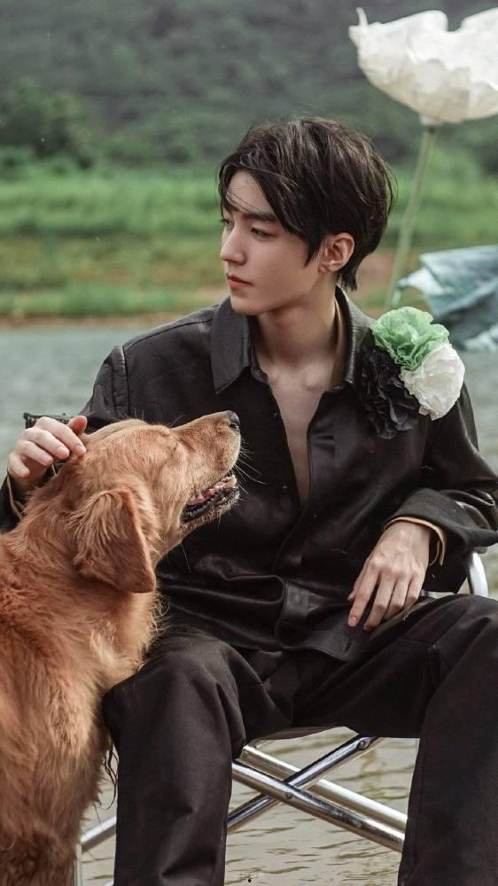 明星下车神图,捕捉镜头下的优雅与风采