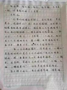 明星与普通人作文,生活轨迹的平行与交汇