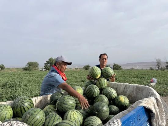 国家队大号吃瓜,揭秘娱乐圈幕后风云