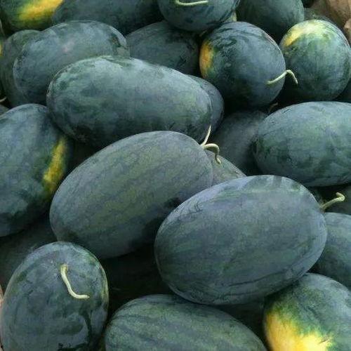 广东姑娘在湖北吃瓜,广东姑娘的别样“吃瓜”之旅