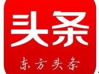 头条小店是自营还是代理,自营还是代理，揭秘其运营模式