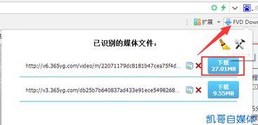 怎样下载新的头条视频,如何下载最新头条视频教程