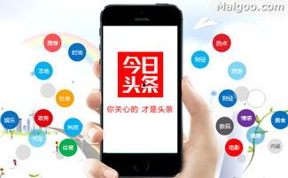 今日头条广告建模费用,揭秘精准营销成本之谜