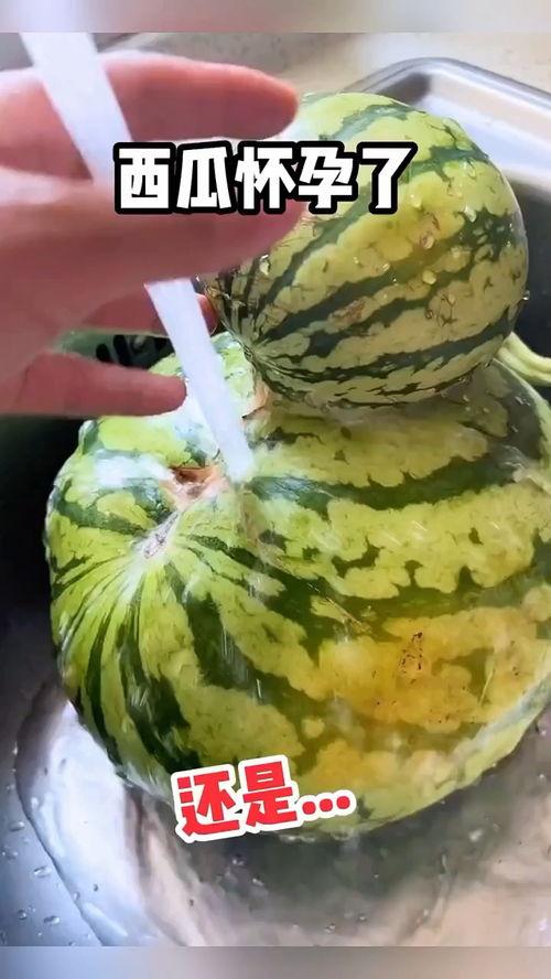 吃鲜瓜搞笑视频大全,鲜瓜搞笑视频大盘点