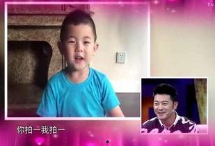 家永明星,璀璨星河中的永恒之光