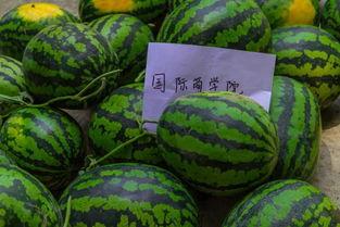 武汉学校椅子吃瓜