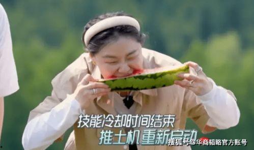 最任性的吃瓜,揭秘娱乐圈幕后真相